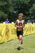 Race #446, Row 5, Column 1