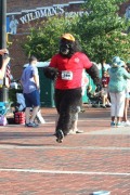 Race #518, Row 19, Column 5
