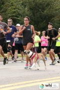 Race #643, Row 3, Column 1