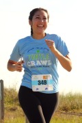 Race #733, Row 3, Column 4
