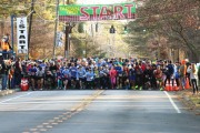 Race #833, Row 13, Column 5