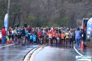 Race #844, Row 1, Column 4