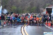 Race #844, Row 3, Column 2