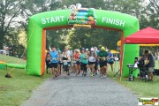 Race #873, Row 6, Column 1