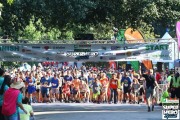 Race #875, Row 2, Column 4