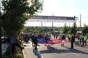 Race #896, Row 131, Column 2