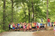 Race #903, Row 2, Column 5