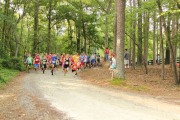 Race #903, Row 3, Column 1
