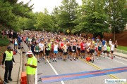 Race #907, Row 31, Column 5