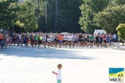 Race #909, Row 1, Column 5
