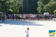 Race #909, Row 2, Column 1