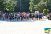 Race #909, Row 2, Column 3