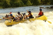 Race #913, Row 17, Column 5