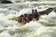 Race #913, Row 41, Column 4