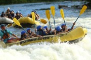 Race #913, Row 44, Column 1