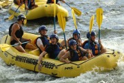 Race #913, Row 57, Column 1